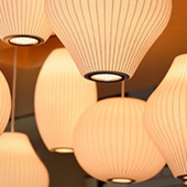 Skull And Spine Beer Bong