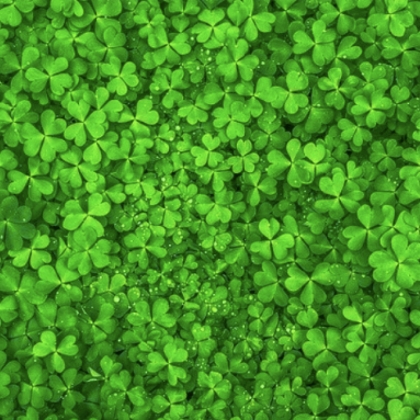 St. Patrick’s Day Gifts